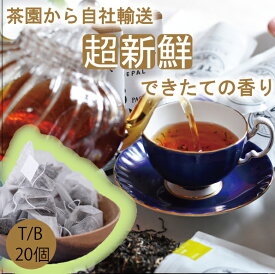 【2025年】【無農薬】【ほんものの紅茶　黄緑色　ティーバッグ（20個）業務用透明袋】　イラム紅茶　ゴルカティー茶園　ネパール紅茶　水出し紅茶にも最適
