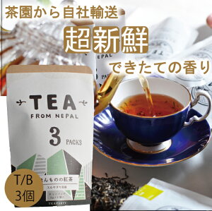 y_zyق̂̍g@΁@eB[obOi3j`bN܁z@Cg@X_@lp[g@ogɂœK