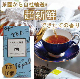【無農薬】【ほんものの紅茶　青　ティーバッグ（10個）箱入り】　イラム紅茶　シャングリラ茶園　ネパール紅茶　ネパール　水出し紅茶にも最適　現地買付・直接輸送　ヒマラヤ紅茶　香料不使用　高級茶葉 ストレートティー　かわいい　おしゃれ　手土産
