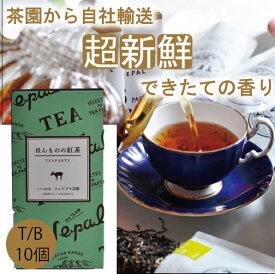 【無農薬】【ほんものの紅茶　緑　ティーバッグ（10個）箱入り】　イラム紅茶　スルヤダヤ茶園　ネパール紅茶　水出し紅茶にも最適