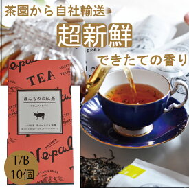 【無農薬】【ほんものの紅茶　赤　ティーバッグ（10個）箱入り】　ネパールティ茶園　ネパール紅茶