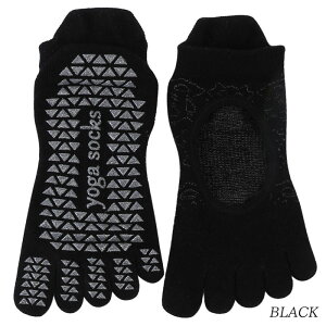 K\bNX seBX C K \bNX ~ 5{w KV[Y KEGA O Ε A[` T|[^[ oG   fB[X V[Y ̊ W zbgK _