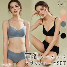 ナイトブラ シームレス【一部商品SALE中】下着 ブラジャー ショーツ セット 育乳 ノンワイヤー シームレス ワイヤレスブラ 育乳ブラ 上下セット ノンワイヤーブラ 大きいサイズ 夜用ブラ 昼夜兼用 中学生 無地 シンプル 脇高【IN309】[M便 1/2]