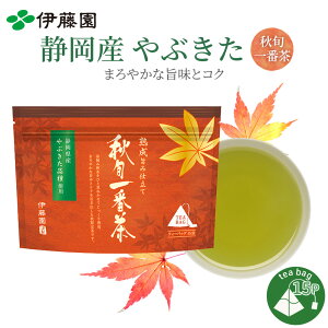 H{Ԓ ÉY Ԃ eB[obO 15 Β  {