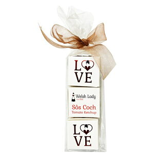 pY@EFVfBE~jWA\[giXgx[EubNJgEIW}[}[hjWelsh Lady