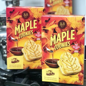 BBCv[tN[NbL[ 300g × 12 Ε NX}X Mtg v[g