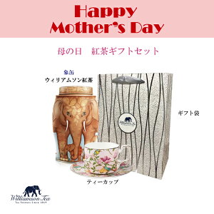 ウィリアムソン 紅茶の人気商品 通販 価格比較 価格 Com