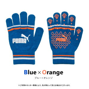 LbY  PUMA ̂т̂ v[} jbg X|[c ׂ~ Xgb` ܎w q WjA j̎q j h TbJ[ ]  ʊw ł AEghA 5{w w