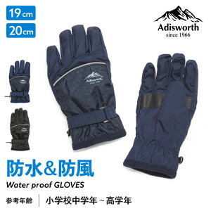 y420`4h 10OFFN[|zLbY h h  Adisworth xgt ~ ˍ h ۉ ~ ʊw ł AEghA  j̎q q  V J 5{w O[u 