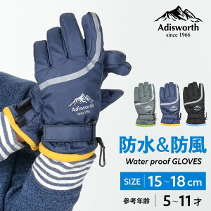 y5OFFN[| 3000~ȏŁzLbY h h  Adisworth xgt ~ ˍ h ۉ ~ ʊw ł AEghA  j̎q q  V J 5{w O[u 