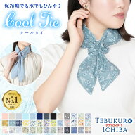 【10％OFFクーポン 2500円以上で】クールタイ 保冷剤 ネッククーラー クールスカーフ スカーフ ポケット …