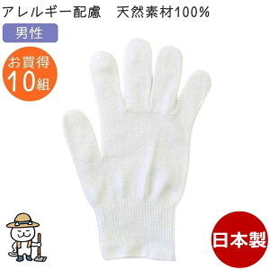 J[R j  10gZbg ^I100% { J[ Y am l Ags[ AM[ q  ܂ƂߔLvEhЁE^EDIYEJt