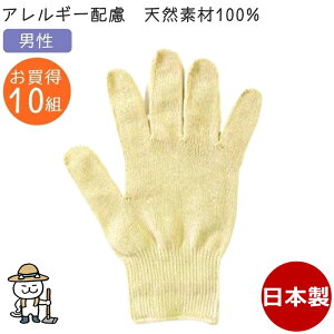 J[R j F 10gZbg ^I100% { J[ Y am l Ags[ AM[ q  ܂ƂߔLvEhЁE^EDIYEJt