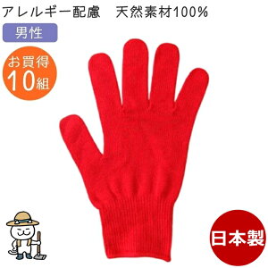 J[R j  10gZbg ^I100% { J[ Y am l Ags[ AM[ q  ܂ƂߔLvEhЁE^EDIYEJt