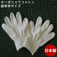 【2倍】 オーガニックコットン手袋 小学校低学年 今治タオル綿100% 日本製 無漂白 無染色 未晒 有機栽培…