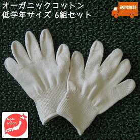 オーガニックコットン手袋[小学校低学年]6組セット[今治タオル綿100% 日本製][GOTS認証]アトピー・アレルギー・手指消毒手荒れ・乾燥肌の保湿ケアに・キッズ・子供[送料無料]