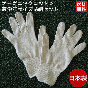 I[KjbNRbg wZwN 6gZbg ^I100% { Y F N L@͔| GOTS Ags[ AM[ wŎr  q ێPA LbY q 