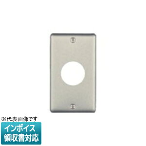 [�@�l����] WN9513 �p�i�\�j�b�N �t���R�[�g���H �V���������R���Z���g�v���[�g [ WN9513 ]