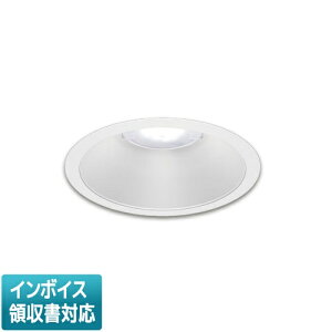 [�@�l����] LEKD203026N-LS9 ���� �_�E�����C�g 2000 ���j�b�g�����` ��ʌ` �����F ��175 [ LEKD203026NLS9 ]