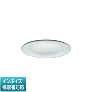 ���[������[�@�l����] EL-D20/2(102NH) AHZ �O�H ���󒍕i �_�E�����C�g ��125 ���� �����F [ ELD202102NHAHZ ]