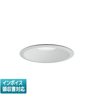 ���[������[�@�l����] EL-D02/2(252NM) AHN �O�H ���󒍕i �_�E�����C�g ��125 �����F [ ELD022252NMAHN ]