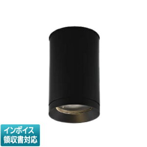 [@l] XU48058L RCY~ KOIZUMI 󒍕i hJ^V[O_ECg LED dF JR12V50W [ XU48058L ]