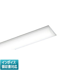 ���[������[�@�l����] NEL4600HN LE9 �p�i�\�j�b�N iD�V���[�Y ���C�g�o�[�P�i 6900 lm �����F [ NEL4600HNLE9 ]