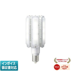 [�@�l����] LDTS110N-G-E39A ���d�C IWASAKI LEDioc LED���C�g�o���u 110W �����F E39���� ���⃉���v400W�����^���^���n���C�h�����v300W������ [ LDTS110NGE39A ]