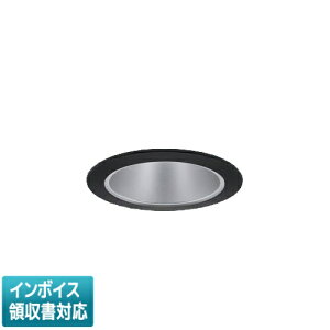 [�@�l����] XND2005BLK DD9 �p�i�\�j�b�N ���󒍕i �V�䖄���^ LED �d���F �_�E�����C�g �r�[���p25�x ���p ���� ���C�R���ʔ� ��75 [ XND2005BLKDD9 ]