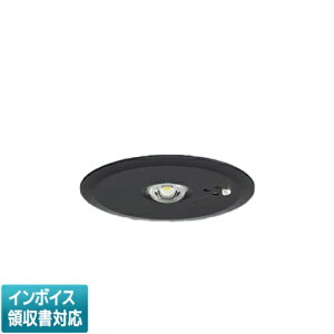 [�@�l����] NNFB91645Z �p�i�\�j�b�N �V�䖄���^ LED �����F ���p�Ɩ���� 30���ԃ^�C�v LED��V��p �`3m ��������100 [ NNFB91645Z ]�y�d�r�����`�z