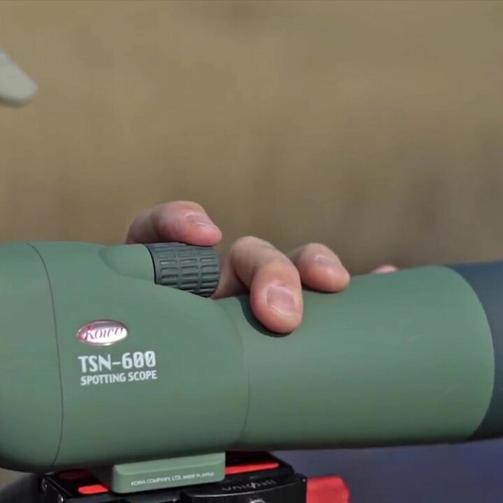 楽天市場】KOWA｜コーワ スポッティングスコープ TSN-601〈傾斜型 