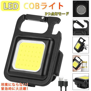 LED  COB Ɠ USB[d L[z_[ ~j ^ y 800[ Px 4_[h IPX4h ͎
