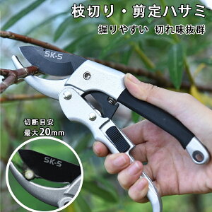 ΂ ͂ nT~  K[f | }؂ }؂΂ bN   NbN|Xg 