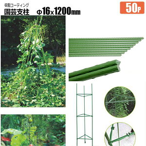 |x R[g ؉  ͔| 16x1.2m 10{ x i _Ǝ DIY JԂgp\