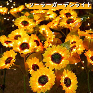 \[[Cg K[f O Ђ܂ 邢 LED XpCN^   h h h 1{ Ђ܂ K[fCg \[[K[fCg _