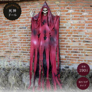 nEB l` _ h[ u ɐ_ 190cm O[p[ z[ A {iI a t   NX}X nEBpi | | [