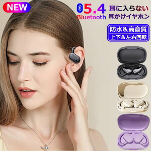 C`CXCz Bluetooth5.4 OWS I[vC[ CXwbhZbg  C` ǂȂ ͂̉  h