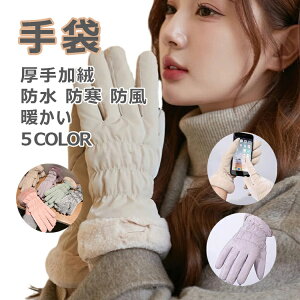 ~ X}zΉ 5{w ܂邱 O g h h h ۉ ]Ԃɏ XL[O[u ʋ ʊw  킢