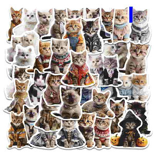 50Zbg L V[ XebJ[ Lbg  L lRV[ h  DIYXebJ[ M^[  X[cP[X o CN wbgȂǓKp