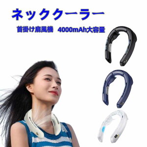 |@ pv[g uԗp lbNt@ lbNN[[ OiK HȂ 100iK gѕ֗y 4000mAhe 16ԘAғ tfBXvC MǑ΍ ̓ 