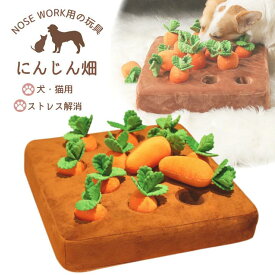 猫 犬 おもちゃ ペット用品 知育玩具 ノーズワーク 犬のおもちゃ ノーズワークマット 犬用おもちゃ 犬知育玩具 ペット 知育 にんじん畑 おやつ トイ