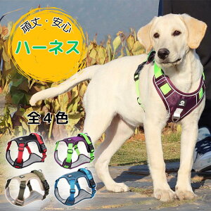  n[lX  Ȃ [vȂ  h~ ȒP   NbV ʋC y ^ ^ ^ Up @\  obW͑܂