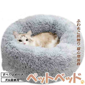 ybgxbhpi Lpi ӂӂ ~p ybg xbh ~Q  Lp ^p Q ~ @\ g }bg 􂦂