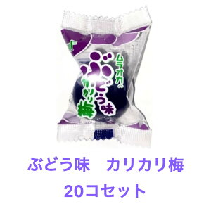 20Zbg IJ Ԃǂ JJ~ ܂Ƃߔ@Xq