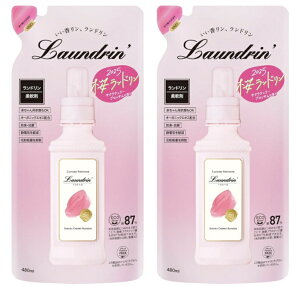 2Zbg h _ TN`F[ubT̍ 2025 lߑւ 480ml@Xq