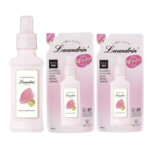 Zbg h TN`F[ubT̍2025 _ {600ml lߑւ480ml×2@Xq