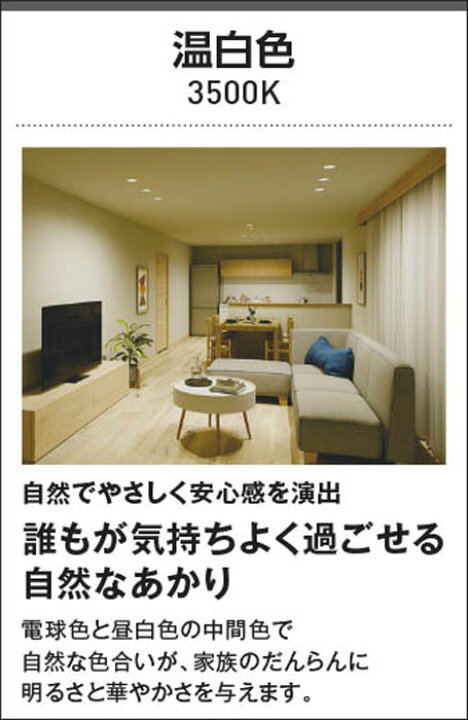楽天市場】スポットライト パナソニック 美ルック 100形相当 おすすめ 
