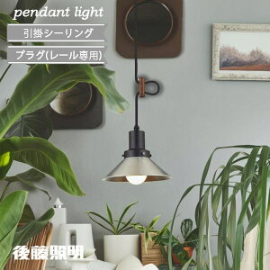 㓡Ɩ y_gCg g  C_XgA _CjO }bL[(A~P5SnECP^BK)100W܂őΉ(60WzCgVJt)GLF-3463