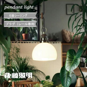 㓡Ɩ y_gCg |V[O  g R[h a ÖƍĐ mx AeB[N KXZ[h II SECP^BR 100W܂őΉ 60WzCgVJt GLF-3361 