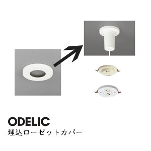 [[bg Jo[ I[fbN  [[bgJo[ zCg OA075118 Ki ODELIC  80C[tW͎gps